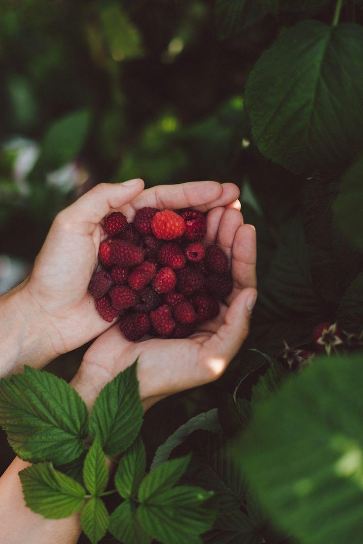 Garden's Embrace: Earth's Flavorful Medley Box