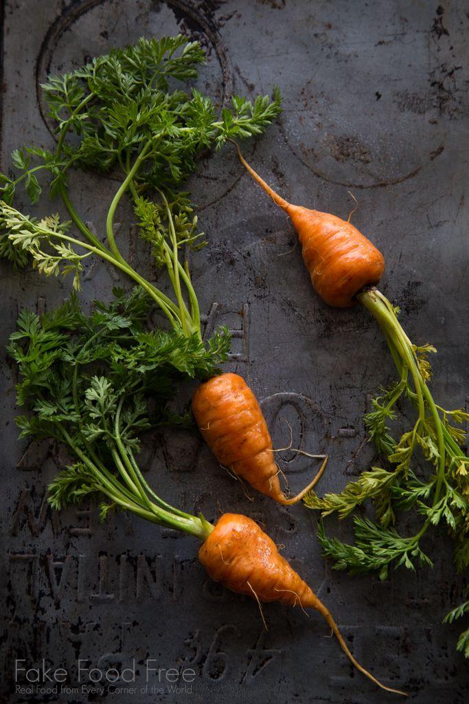 Roots & Fruits: Vibrant Farmstead Variety Pack